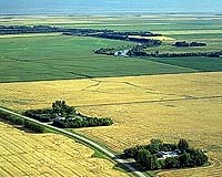 Farm Aid Promoting Sustainable Farm And Food Vision