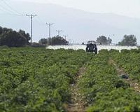 Agricultural insecticides pose a global risk to surface water bodies