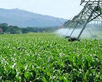 Global redistribution of phosphorus use could improve food security