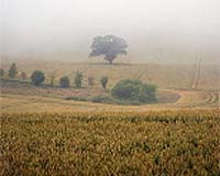 Fog causing high dust levels in Bulgaria: environmental agency