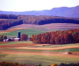 EU ag interests disagree on supply chain