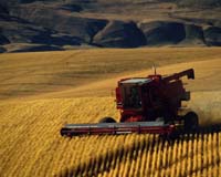 Feds set up online help for farmers