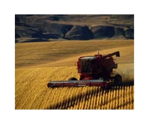 Caterpillar makes offer for Chinese machinery firm