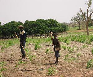 Green grabs: The dark side of the green economy