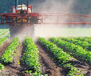 Improper use of biocides in food production may endanger public health