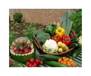 Studies shed light on how to reduce the amount of toxins in plant-derived foods