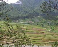 US challenges $100 bn in China rice, cereal subsidies
