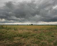 Wild Weather Forces Farmers To Adapt