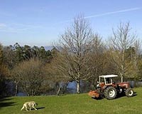 EU urged to slash agriculture budget: commission paper