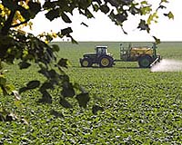 How Small Can Crop Management Go
