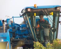 Simplifying Data Management For Farmers