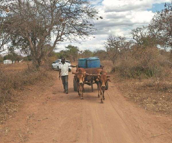 Water crisis threatening world food production: report