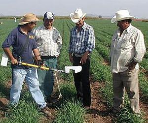 Farm injury risks increase with age