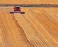 Higher CO2 levels may be good for plants: German scientists