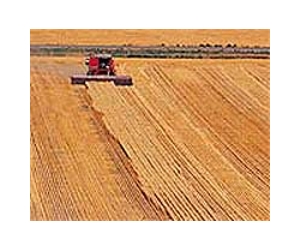 Drought sends US producer prices surging