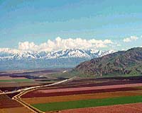 Emphasizing The Precision In Precision Agriculture