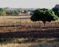Zimbabwe declares 'state of disaster' over drought