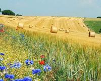 Farming for improved ecosystem services seen as economically feasible