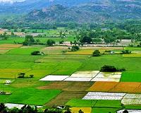 Little growth observed in India's methane emissions