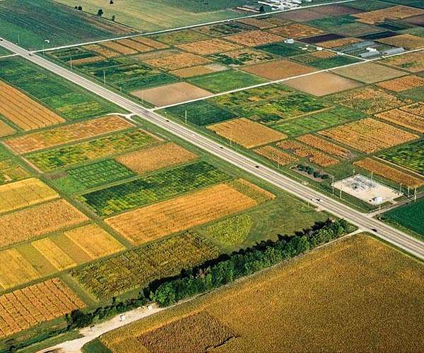 We may be underestimating the climate risk to crops: researchers
