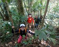 Outwitting poachers with artificial intelligence