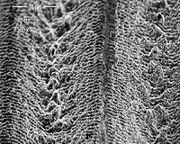 Laser ablation boosts terahertz emission