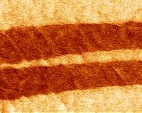 Ferroelectric materials react unexpectedly to strain
