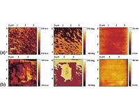 Laser-fabricated crystals in glass are ferroelectric