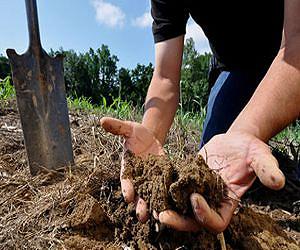 Fertilizers provide mixed benefits to soil in 50-year Kansas study