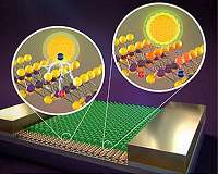 Understanding light-induced electrical current in atomically thin nanomaterials