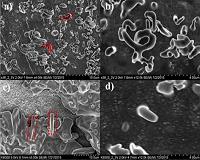 Advancing lithium-air batteries with development of novel catalyst