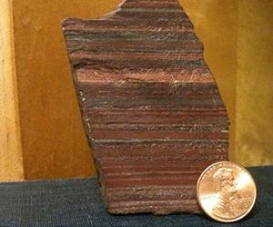 New Evidence Supports Snowball Earth As Trigger For Early Animal Evolution