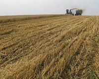 Russia to Develop Unmanned Harvester Running on Glonass Navigation by 2018