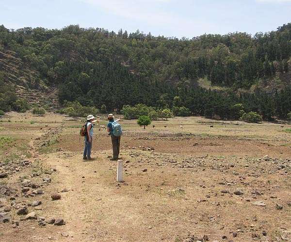 Study reveals extent of impact of human settlement on island ecosystems