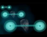 Quantum states reveal themselves with measurable 'fingerprint'
