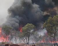 Climate change fuels bushfire risk as Australia heats up