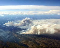 Wildfires Result In Loss Of Forests Reserved By Northwest Forest Plan