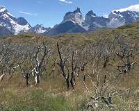 Chilean environmentalists fight to protect glaciers from mining dust