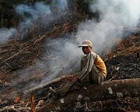 SE Asia breathes sigh of relief as rains ease smog crisis