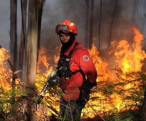 Portugal receives EU aid for forest fires