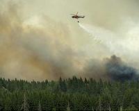 Sweden's wildfires abating, foreign firefighters leave