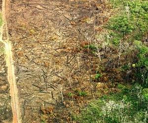 Eighth Brazilian farmer since May killed in Amazon