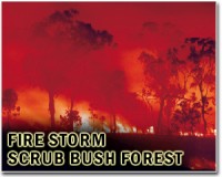 Firestorms: How Australia's bushfires created their own weather