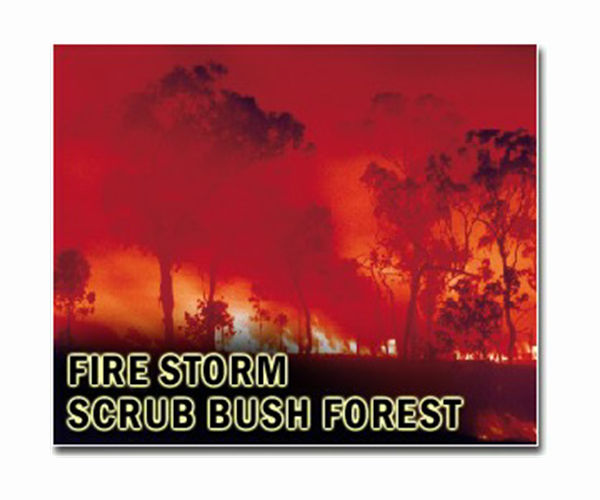 New Zealand firefighters beating forest blaze