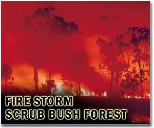 Chile brings fires under control as probe expands
