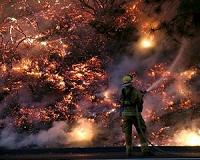 'Come and get me,' boy pleaded before California fire death