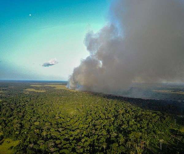 Veteran Congo ruler pledges to shield forests at inauguration