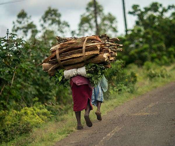 Half a million lives could be saved yearly by replacing wood and charcoal stoves in Africa