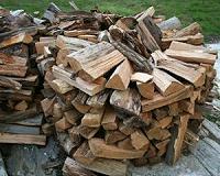 Reducing Travel Assisted Firewood Insect Spread