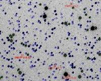 The Role Of Amateur Astronomers In Rosetta's Mission